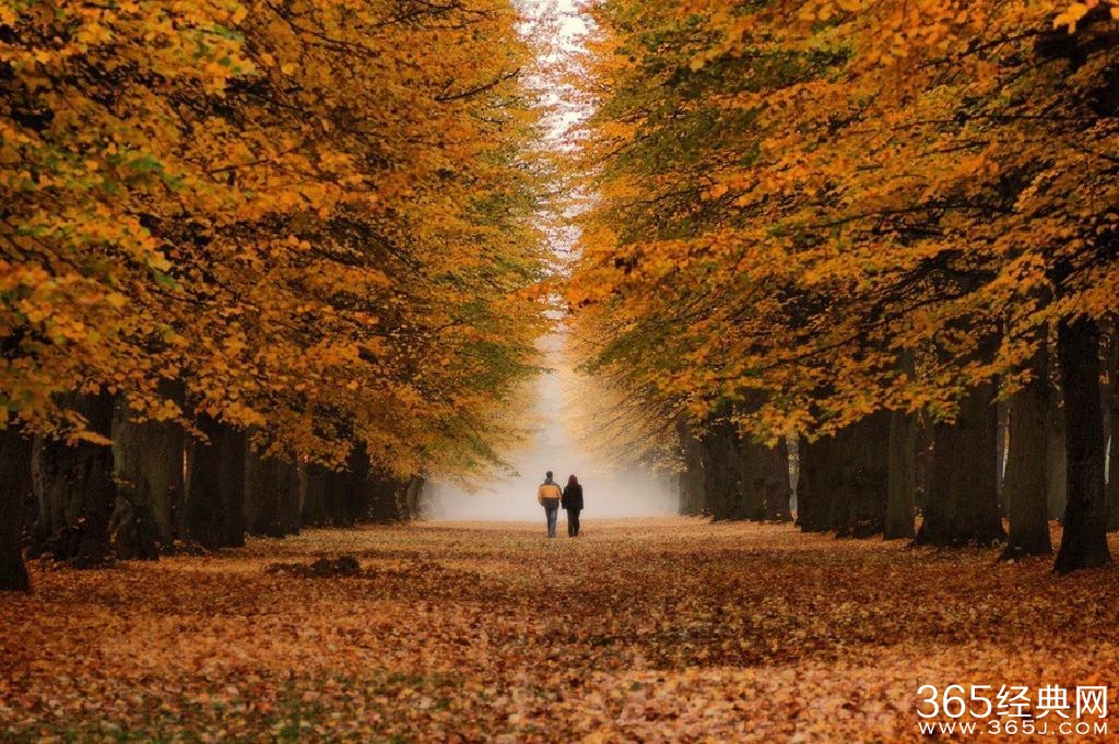 一位父亲离世前留给孩子的9句话