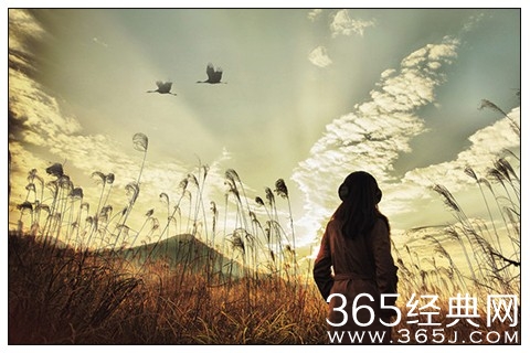 走着走着，就只剩下了些故事