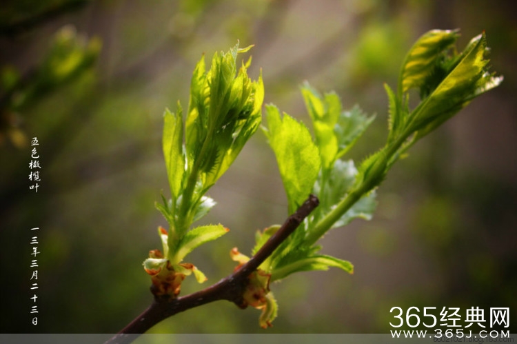 优秀的人，会做这七个选择