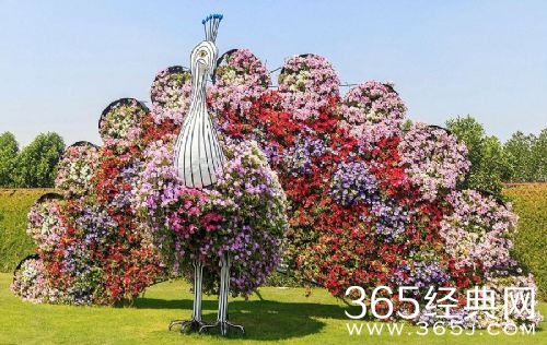 迪拜建最大花园耗费4500万株鲜花