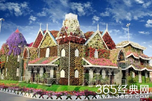 迪拜建最大花园耗费4500万株鲜花