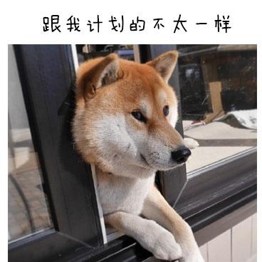 经典哥：菊花被爆了怎么办？2015.06.23