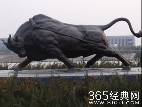 “一只牛”的精神
