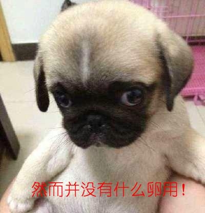 经典哥：谁在装逼好刺眼2015.06.24