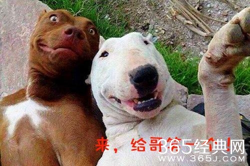 经典哥：谁在装逼好刺眼2015.06.24