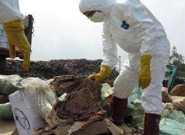 经典哥：谁在装逼好刺眼2015.06.24