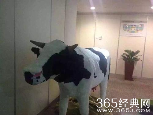 经典哥：看我的挤奶龙爪手2015.06.25