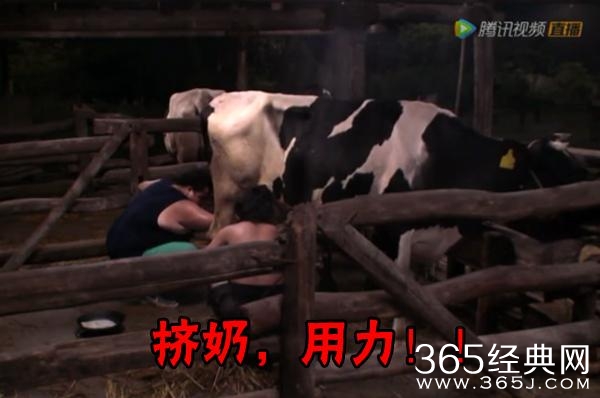 经典哥：看我的挤奶龙爪手2015.06.25