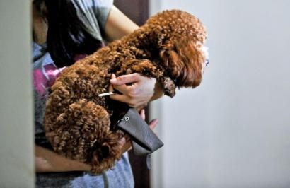 经典哥：看我的挤奶龙爪手2015.06.25