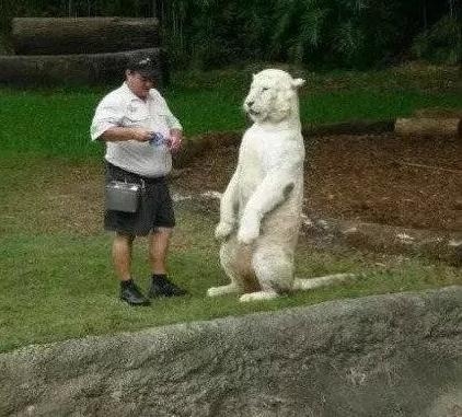 经典哥：看我的挤奶龙爪手2015.06.25