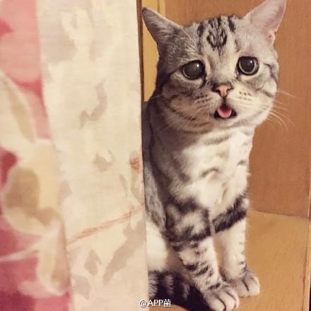 经典哥：看我的挤奶龙爪手2015.06.25