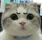 经典哥：想有一个这样的老婆2015.06.26