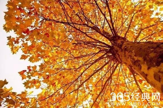 珍惜缘份，就是珍惜美好的人生