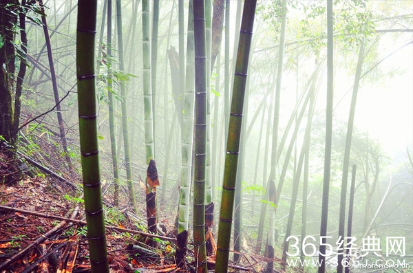 变质的友谊，回不去的昨天