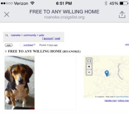 经典哥：想有一个这样的老婆2015.06.26