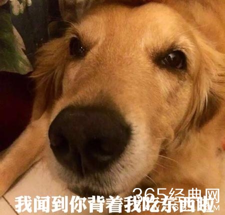 经典哥：想有一个这样的老婆2015.06.26