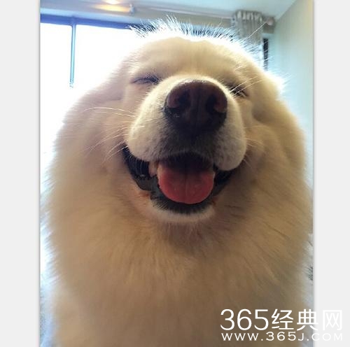 经典哥：起来一起看大海！2015.06.29