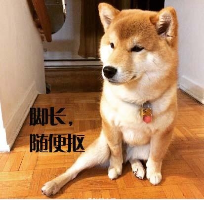 经典哥：老婆求求你嫁给我2015.06.30