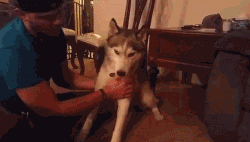 经典哥：老婆求求你嫁给我2015.06.30