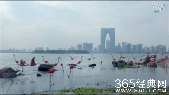 《何以笙》后《两生花》原来这么多剧组都在拍苏州