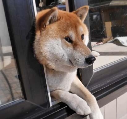 经典哥：老婆求求你嫁给我2015.06.30