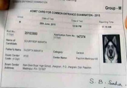 经典哥：老婆求求你嫁给我2015.06.30