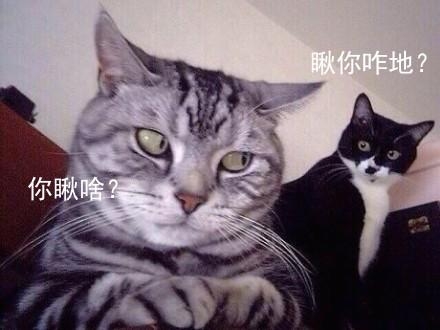 经典哥：我想和志玲同床共枕2015.07.01