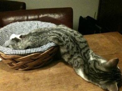 经典哥：辞职老子不干了！2015.07.02