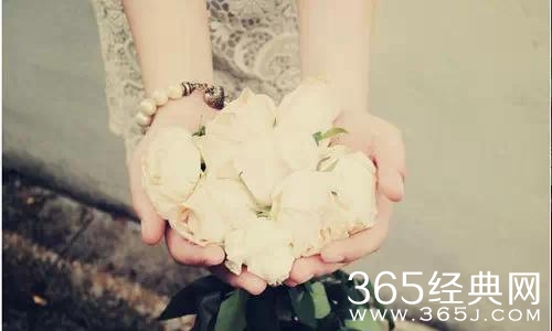 谁的人生没有坎坷