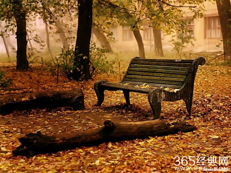 每句话都够你品半辈子