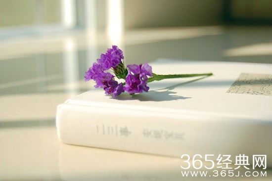 残梦今生,微笑流年