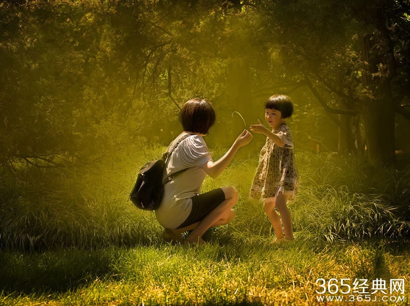 全部看完我也哭了！