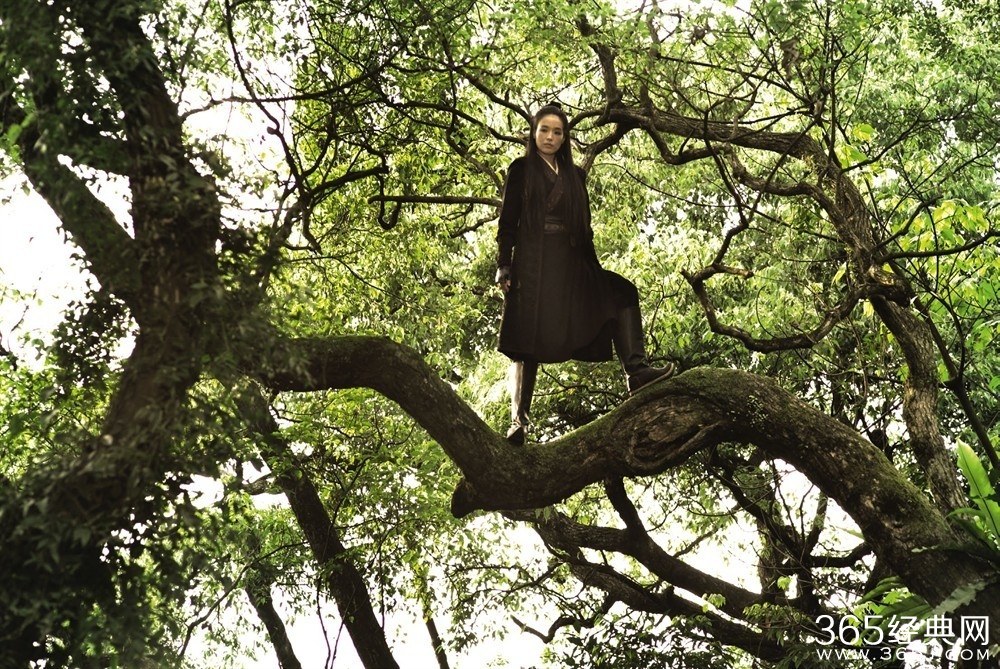 刺客聂隐娘影评