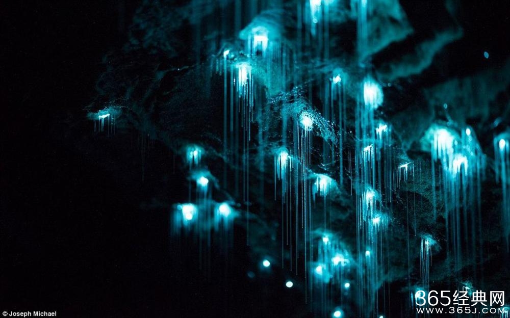 新西兰萤火虫洞穴