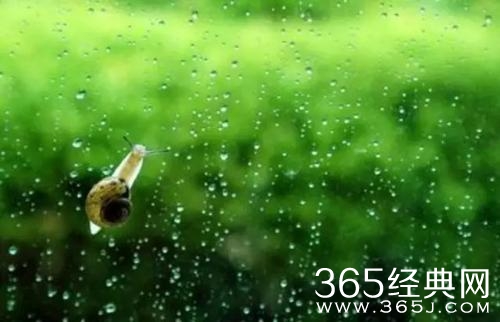 24条很有哲理的人生感悟