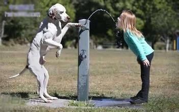 经典哥：好心人也是要防的2015.07.06