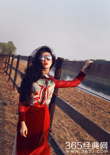 张辛苑、张辛苑、以梦为马