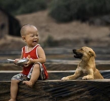优雅的谢幕，感谢自己的认真付出