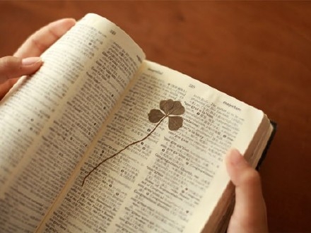 优雅的谢幕，感谢自己的认真付出