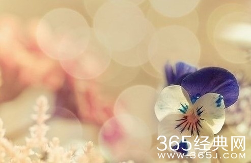 活好对生命的理解