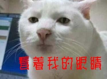 经典哥：装逼果然遭雷劈2015.07.09