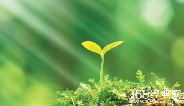 直视恐惧,面对自我