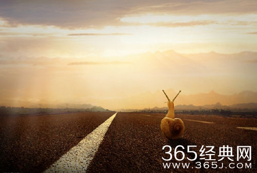 励志蜗牛,看了它你还有什么理由不坚持