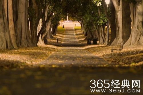 我们没有在一起