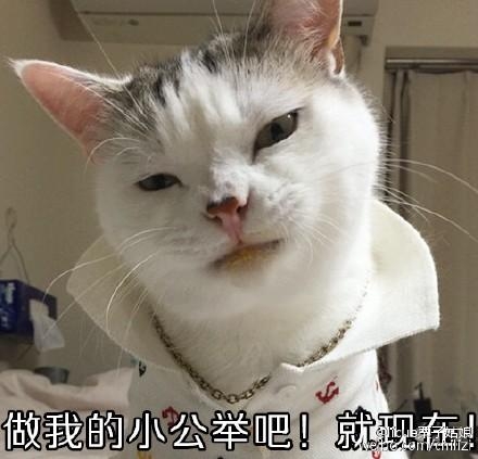 经典哥：吃货就是这么任性！2015.07.10