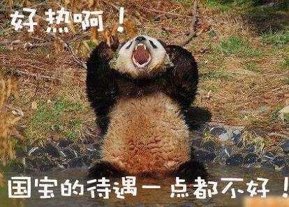 经典哥：头可断照片不能丑！2015.07.13