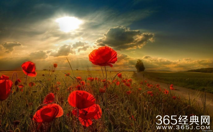 给我困境的都是我的上师