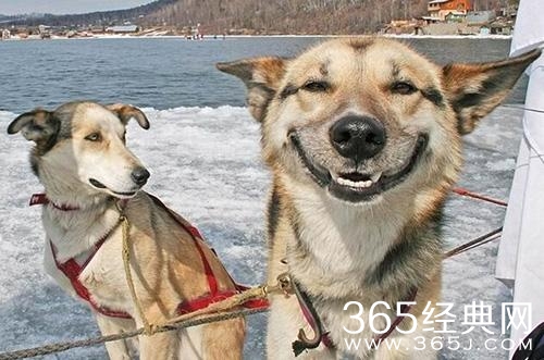 经典哥：头可断照片不能丑！2015.07.13