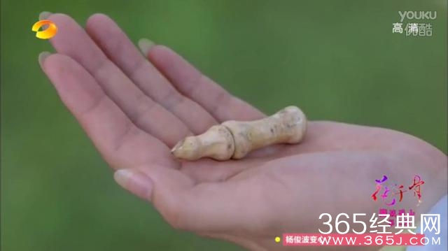 杀阡陌：最痴情的魔君，拥有他就拥有了全世界！