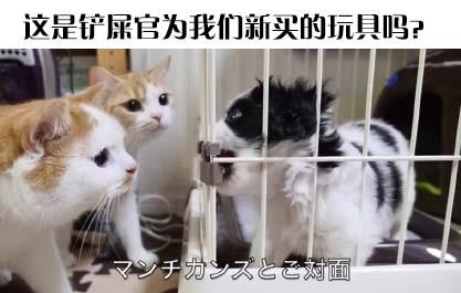 经典哥：把你内棍儿收好2015.07.14